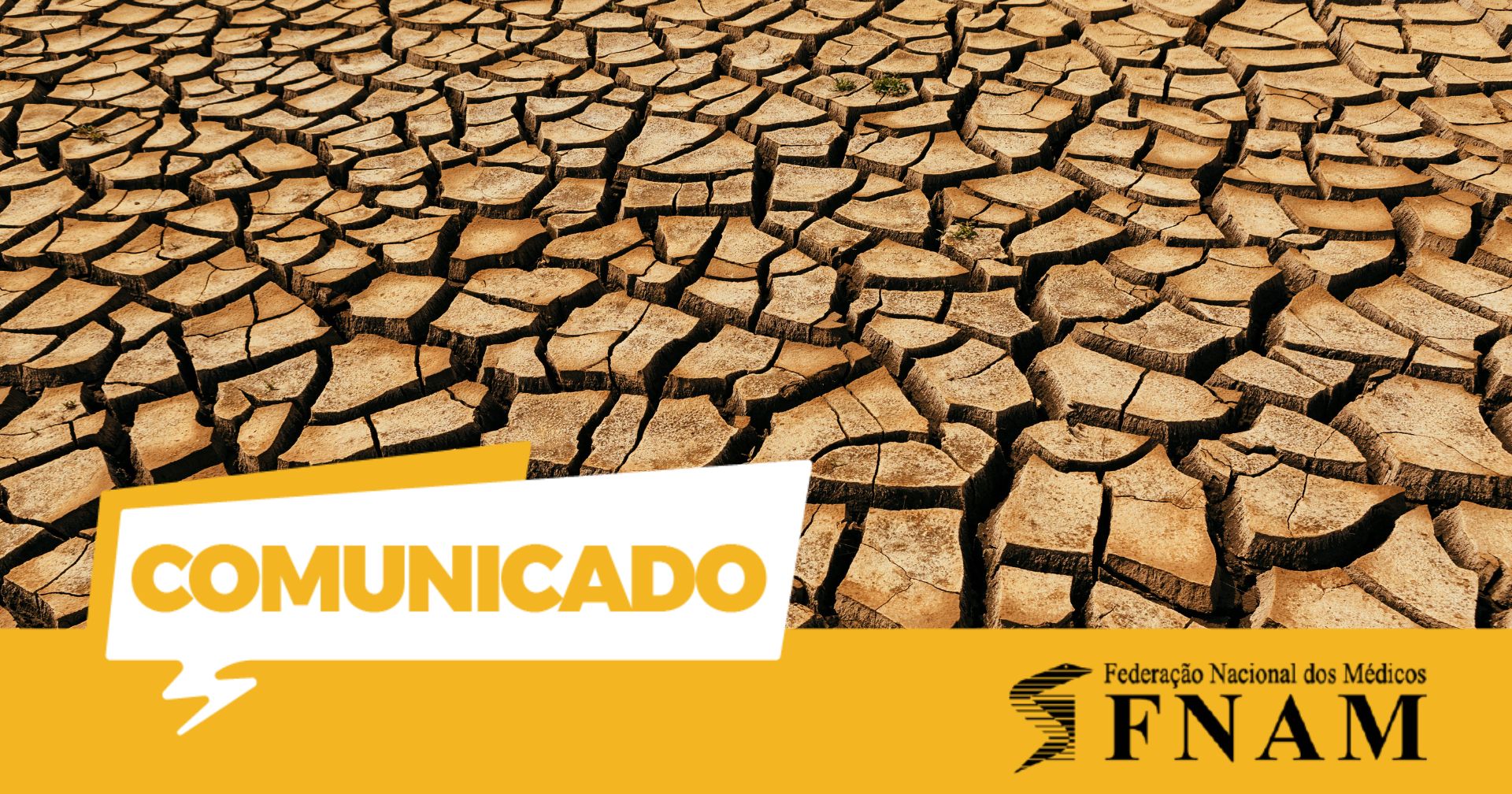 Ministério da Saúde não garante soluções que atraiam e fixem médicos no SNS